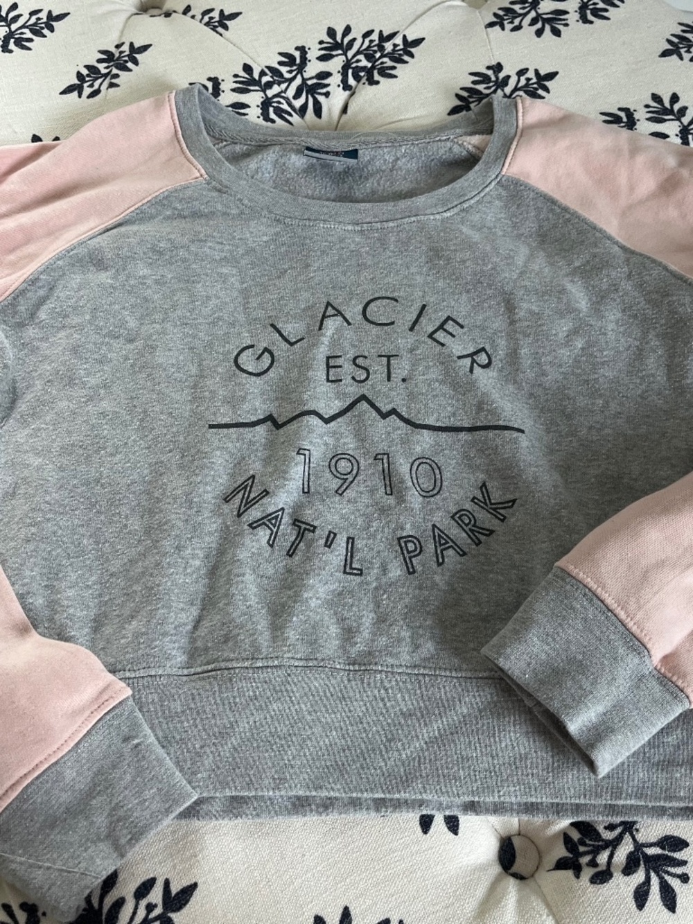 Glacier National Park Sweatshirt , size small ! Unique find